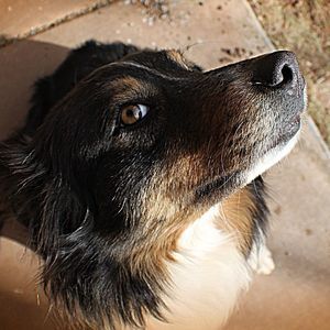 Meet your Posher, Linda